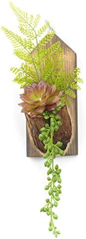 Velener Wall-Hanging Artificial Succulents in Wood Vase Fake Flowers for Home Decor (Red, Green)