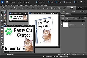 WordPress Website Software Tutorial and WordPress Projects on 2 DVDs