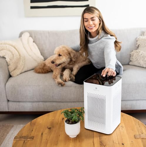 Medify MA-25 Air Purifier with True HEPA H13 Filter | 825 ft² Coverage in 1hr for Allergens, Smoke, Wildfires, Odors, Pollen, Pet Dander | Removal to 0.1 Microns | White, 1-Pack