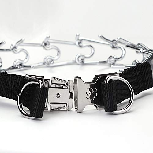 Mua Pettom Dog Prong Training Collar Adjustable Choke Chain Pinch Pet