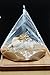 New and Improved Liquid Solution Turkey Brining Bags - No BPA - Heavier Duty Materials - Thicker Seams - Gusseted Bottom - Double Track Zippers - Extra Large - Set of 2, 21.5 x 25.5 in Each