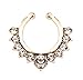 Aoyoho Pack of 5 Clip On Jewelry Fake Septum Clicker Nose Ring Non Piercing