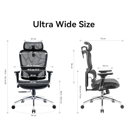 SIHOO M56B Ergonomic Office Chair, High Back Desk Chair, Lumbar Support, Swivel Computer Task Chair with Adjustable Headrest, Tilt Function, Black