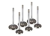 Evergreen IEV8006 89-00 Geo Chevrolet Metro Pontiac Firefly 1.0 SOHC G10 Intake Exhaust Valves