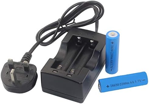 High Power 3.7V 18650 Batteries and Charger Kit, Universal UK Standard 3 Pin Plug, 2 Pieces 18650 2200mah Batteries for Powerful LED Torches/Flashlights/Video Doorbells/Fans