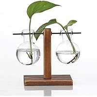 Yugust Stand Glass Planter Bulb Vase, Hydroponic Plant Vases with Wooden Stand, Terrarium Boiling Flask-Style Flower Vases Office Desk Wedding Decor