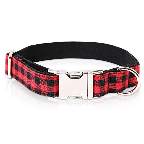 The Best Collars for Puppies Dogtime
