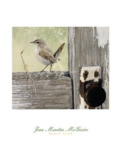 (16x20) Jan Martin McGuire House Wren Art Print Poster