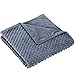 RoamFish Weighted Blanket Cover, Kids Adults Removable Breathable Minky Covers for Cotton Inner Layer, Duvet Cover ONLY(Light Grey, 41.5X 60 inch)