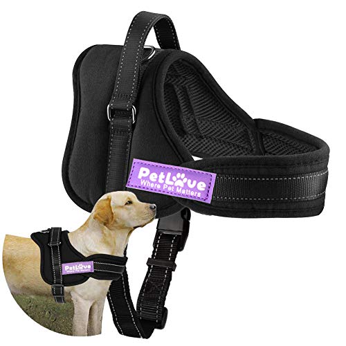 petlove harness