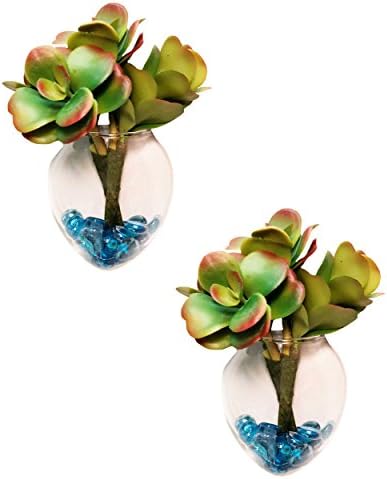 Pack of 2 Glass Planters Wall Hanging Planters Glass Air Plant Pots Flower Vase Aquarium Terrarium Decor (Standard, Drop)