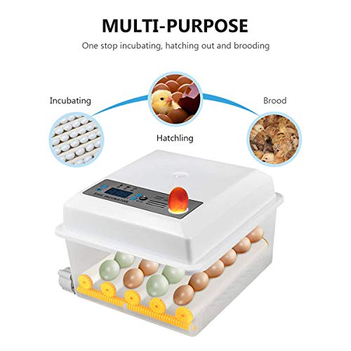 Motorbrüter Hühner Brutapparat, Digitale Eier Brutschrank, Temperatur Und Feuchtigkeitsregulierung Digitale Anzeige Für… – Bild 3