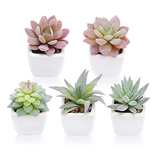 FUNARTY 5pcs Artificial Succulent Plants, Small Fake Desk Plants Mini Succulents Indoor