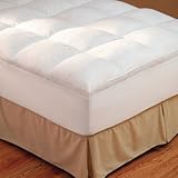 Restful Nights® Innova™ Fiber Bed Mattress Pad Size: Twin