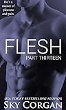 Flesh: Part Thirteen (The Flesh Series Book 13)