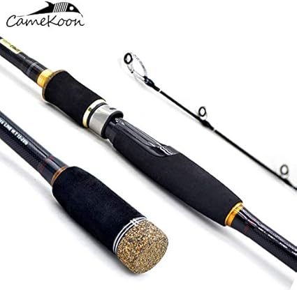 saltwater fishing rods amazon
