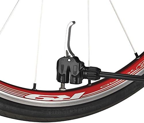 dual valve pump head