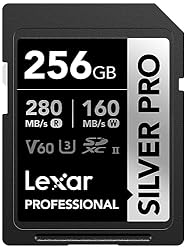 Lexar 256GB Professional SILVER PRO SDXC Memory
