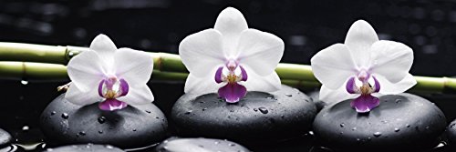 Cortesi Home Harmony Tempered Glass Wall Art, 12"" x 36""", Black (CH-WG123643)