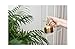 Kikkerland Plant Mister, Brass