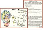 Image de Ear Reflexology - A4