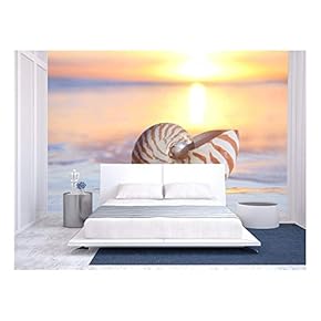 Nautilus Shell in The Sea, Sunrise. Shallow Dof - Removable Wall Mural | Self-Adhesive Large Wallpaper - 66x96 inches