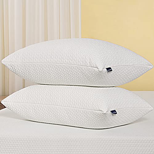 Memory Foam Pillows 2 Pack, Queen Size Pillow Set of 2 CertipurUs