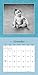 Anne Geddes 2018 Wall Calendar: Small Is Beautiful