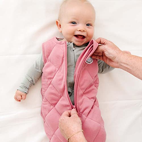 DREAMLAND BABY Sleep Sack Baby: 24-36 Months Gently Weighted