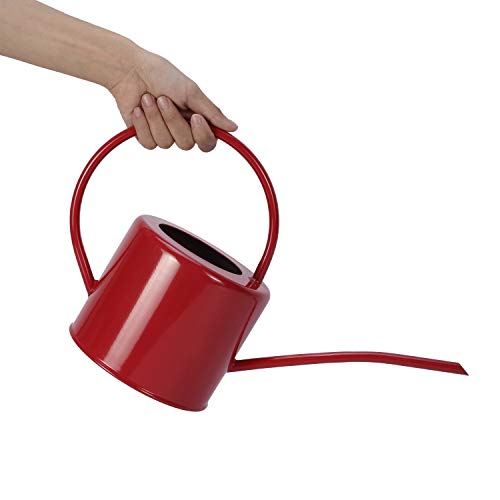 Top 10 Watering Cans With Long Spouts of 2020 No Place Called Home