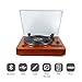 Turntable for Vinyl Records 3 Speed Portable Phonograph Record Player with Wireless Speakers, Bluetooth, Aux-in, USB Port for Flash Drivethumb 2