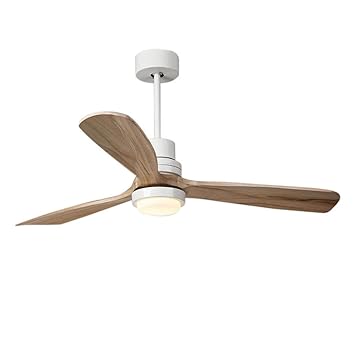 Amazon Com Ceiling Fans Electric Fan Chandelier Simple Dining