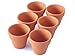 Pennington Mini Flower Pots 2