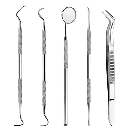 Dental Tools, Zeiger Stainless Steel Dental Hygienist Pick Tooth Cleaning Tools Kit Set for