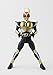 Bandai Tamashii Nations S.H.Figuarts Ground Form Masked Rider Agito Action Figure