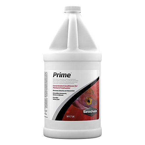 Prime, 4 L / 1 fl. gal.