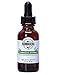 Kombucha Extract - All Natural Organic Tea Supplement Formula by GetKombucha® - (2 Month Supply) - Sugar Free, Caffeine Free, Alcohol Free - 1 Ounce- Shelf Stable - TSA Approved -Improve Digestion (3 Pack)