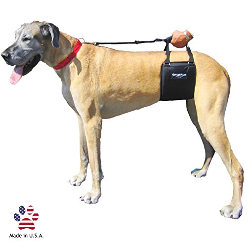 GingerLead Dog Support & Rehabilitation Harnesses Padded Dog Slings with Integrated Leash for