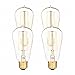 Edison Bulb by Deneve - Standard - 4 Pack - Thomas Edison Light Bulb, Edison Light Bulb, Edison Bulb Lamp, Edison Bulb 40w, Edison Bulbs, Edison, Light Bulbs, Chandelier Edison Bulb