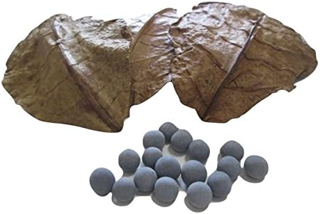 10 Mineral Balls (10MM) & 5 Indian Almond Leaves (10-15cm) Shrimp Water Conditioner Invertebrates Aquarium Betta Fish Tank