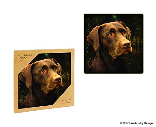 TIMELESS BY DESIGN Ceramic Trivet for Culinary Decor- CHOCOLATE LAB TRIVET, Scratch-Heat Resistant, Cork Backing, Printed Kitchen/Dining Table Trivet, Anti Slip,Multicolored, Square Trivet-7.5" X 7.5"