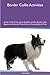 Border Collie Activities Border Collie Tricks, Games & Agility. Includes: Border Collie Beginner to Advanced Tricks, Series of Games, Agility and More