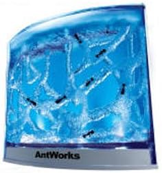 Deluxe Antworks Ant Habitat Kit
