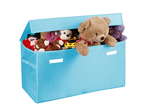 Collapsible Toy Chest for Kids (Large) Storage Basket w/ Flip-Top Lid | Organizer Bin for Bedrooms, Closets, Child Nursery | Store Stuffed Animals, Games, Clothes (Light-Blue)