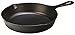 Lodge Pre-Seasoned 9-Inch Skillet primary