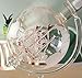 Wine Savant Whisky & Wine Sail Ship Etched Globe Spirits Decanter
