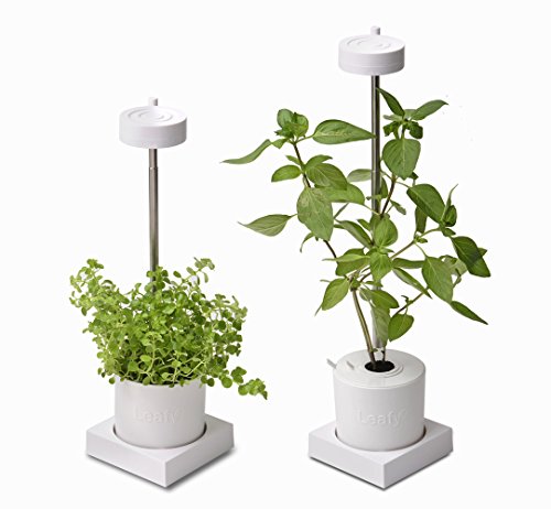 Leafy Desktop Hydroponics & Grow Light System (GL301W)