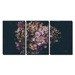3 Piece Canvas Wall Art - Pink Hydrangea on Black Background - Modern Home Art Stretched and Framed Ready to Hang - 16"x24"x3 Panels