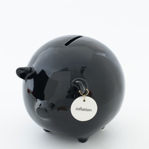 Money Talks Piggy Bank - Deluxe - Inflation