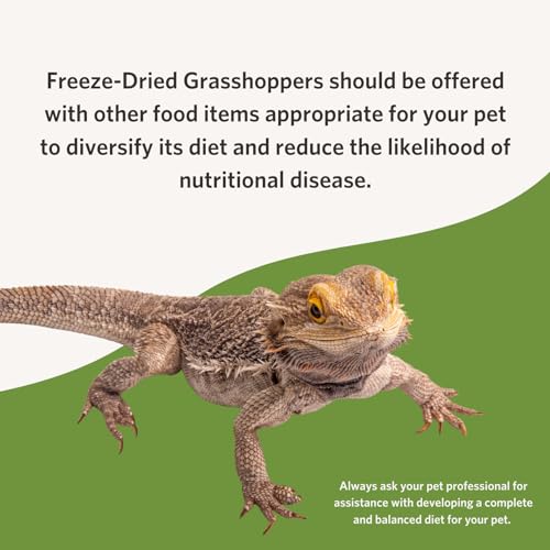 FLUKER’S FREEZE DRIED GRASSHOPPERS, NUTRIENT-PACKED, IDEAL FOR LIZARDS, REPTILES, BIRDS, FISH, HEDGEHOGS, 1.7 OZ